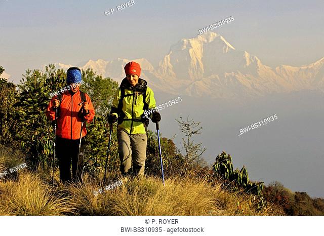 female mountain hiker with her guide on a trail at the Annapurna massif, in the background the Dhaulagiri (8167 m), Nepal