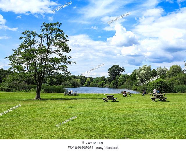 A pond and picnic tables in a park