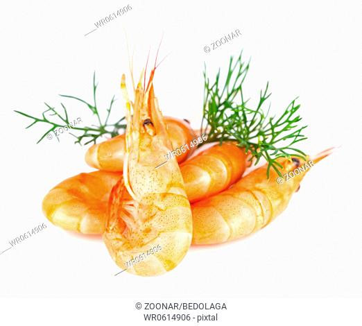 Shrimp with dill, isolated on white