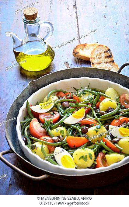 Salade Nicoise (vegetable salad with fish and egg, France)