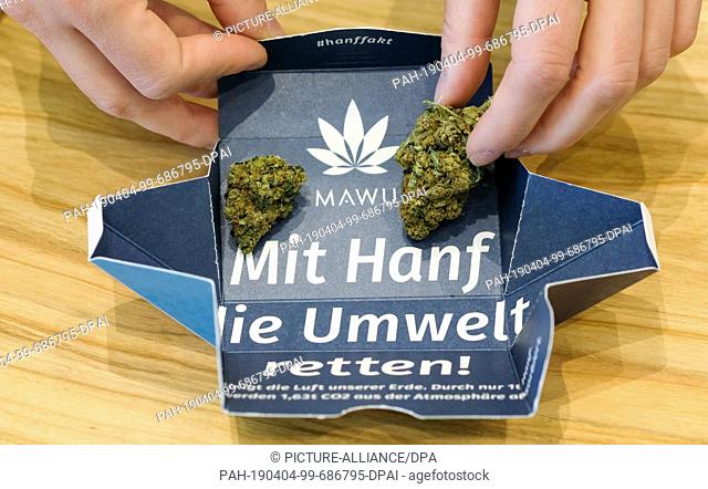 02 April 2019, Berlin: At the International Cannabis Business Conference ICBC, dried hemp buds are lying on the packaging of an exhibitor's stand with the...