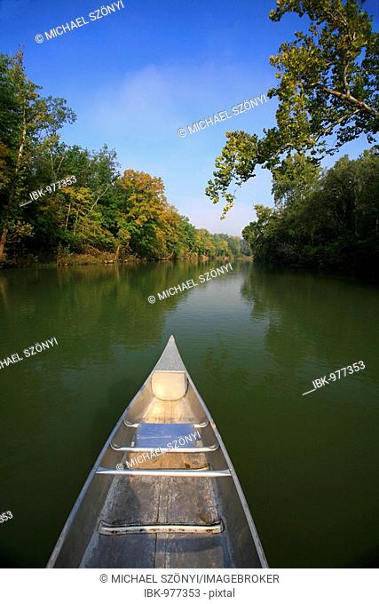 Canoeing on the Meramec River, Missouri, USA