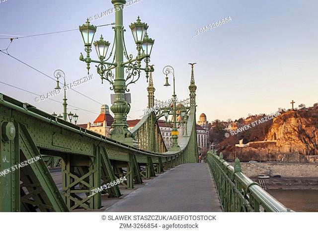 Dawn Liberty Bridge in Budapest, Hungary