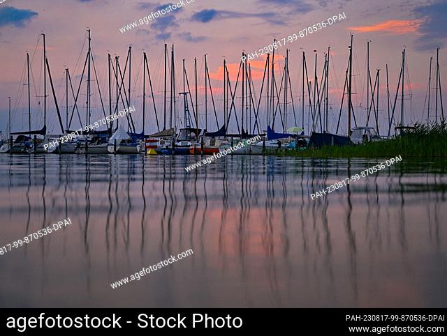 17 August 2023, Brandenburg, Diensdorf-Radlow: Sailboats are moored at a marina on Scharmützelsee in the evening. The body of water in the Storkower Land region