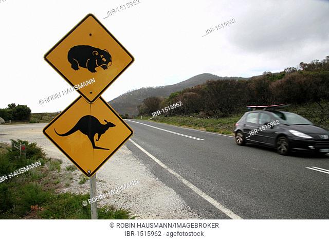 Attention, kangaroos and wombats sign in the Wilsons Promontory National Park, Victoria, Australia