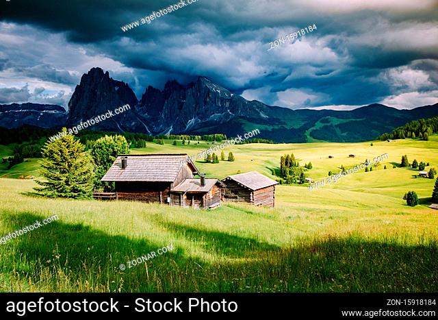 Alpe di Siusi - Seiser Alm with Sassolungo - Langkofel mountain group in background at sunset. Yellow spring flowers and wooden chalets in Dolomites