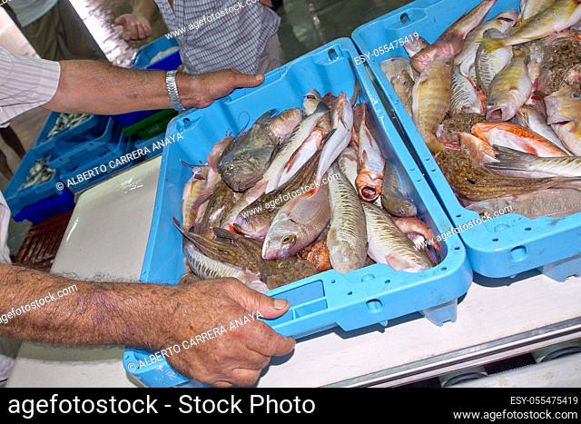Fish baskets in Fish Market, Fishing port, Mediterranean Sea, Aguilas, Murcia, Región de Murcia, Spain, Europe
