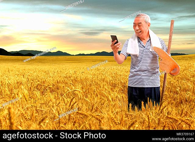 Standing in the catcher in the farmers see a mobile phone
