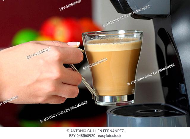 Close up of a woman hand holding a cup in a coffee maker in the kitchen at home