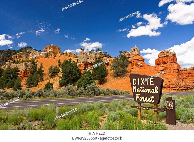 Dixie National Forest sign beside a road near red rock formations of Red Canyon, USA, Utah, Red Canyon, Dixie National Forest