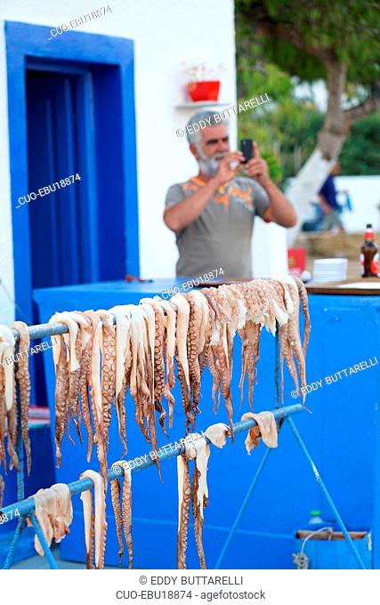 Octopus to dry and ready to be grilled, Nico's ouzeri, Lipsi Island, Dodecanese, Greece, Europe