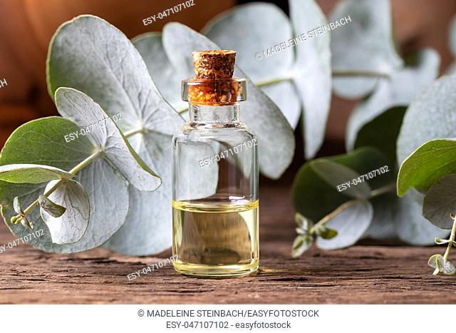 A bottle of essential oil with fresh eucalyptus twigs