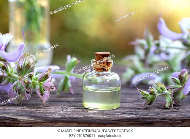 A bottle of essential oil with blooming clary sage plant, outdoors