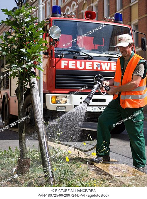 25 July 2018, Chemnitz, Germany: Sebastian Müller from the Parks and green areas Department of the city of Chemnitz irrigates street trees in the city with...