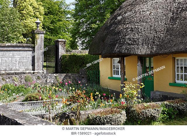 Thatched house, Adare, County Limerick, Ireland, British Isles, Europe