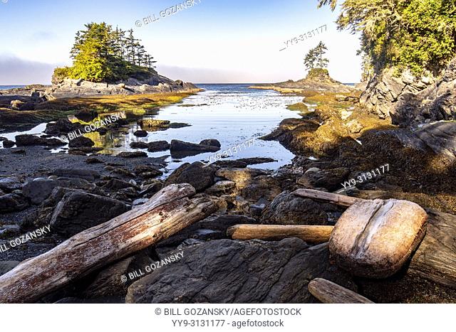 Coastal View at Botanical Beach Provincial Park and Botany Bay - Juan de Fuca Marine Trail - Port Renfrew, Vancouver Island, British Columbia, Canada