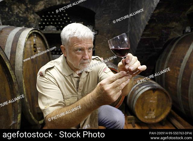 09 September 2020, Mecklenburg-Western Pomerania, Rattey: Winery manager Stefan Schmidt looks at a glass of wine from the Schloss Rattey winery in the wine...