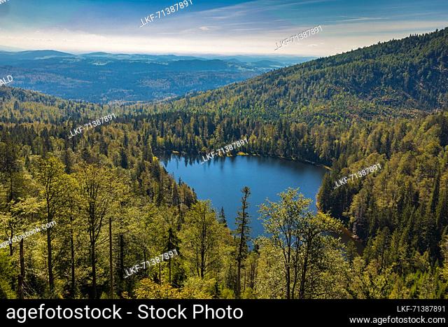 View of the Rachelsee from the Rachel, Bavarian Forest, Lower Bavaria, Bavaria, Germany