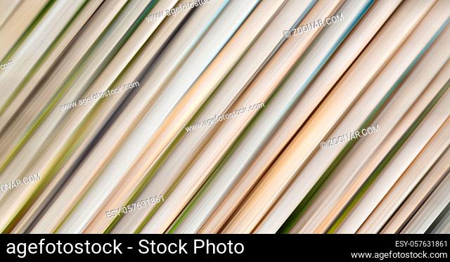 background   texture bamboo woothe abstract colors and blurred backgroundd and plant in the abstract