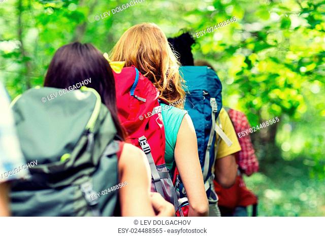 adventure, travel, tourism, hike and people concept - close up of friends walking with backpacks in woods from back