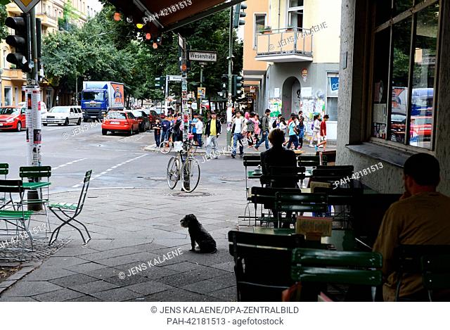 A dog sits in Pannierstrasse street/ corner Weserstrasse in front of the bar 'Freies Neukoelln' in Berlin, Germany, 20 August 2013