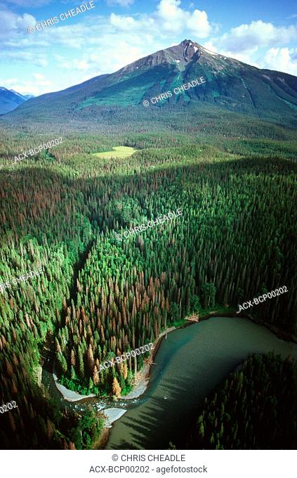 Nass River Aerial, Nisga'a territory, British Columbia, Canada