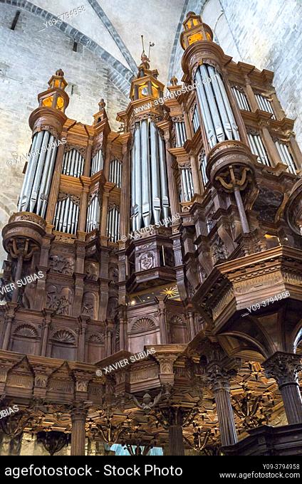 Organ, Notre Dame of Saint Bertrand de Comminges, Cathedral, Saint Bertrand de Comminges, Hautes-Pyrenees department, Occitanie, France