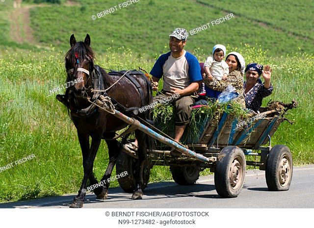 Dobruja, Roma family with traditional horse cart, Romania