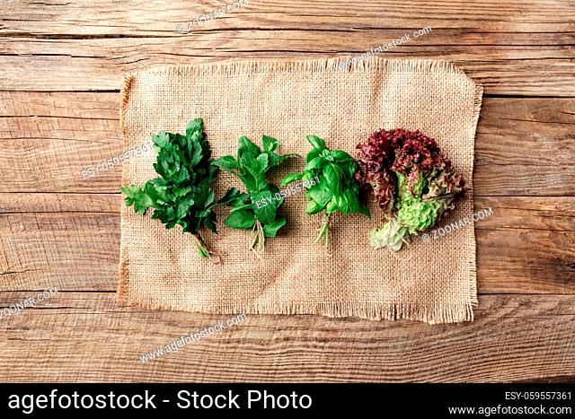 Gardening and healthy eating concept with different herbs and salad leaves, basil, mint, radicchio, parsley and celery on sackcloth on wooden background