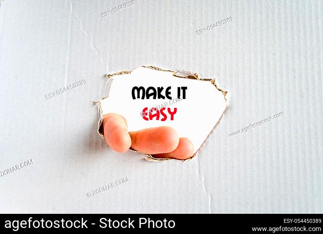 Make it easy text concept isolated over white background