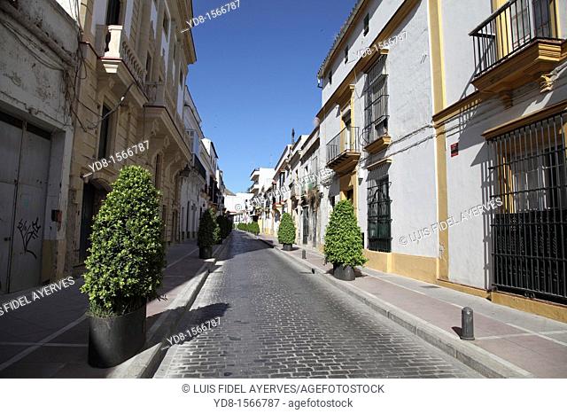 Panoramic view of a street in Jerez de la Frontera, Cadiz, Andalusia, Spain, Europe