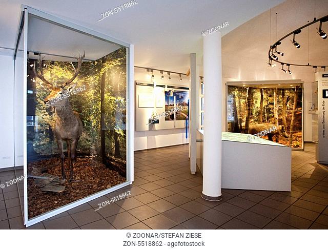 Seit Oktober 2008 befindet sich im Astenturm die Ausstellung des LWL Museums fuer Naturkunde Kahler Asten Das Dach Westfalens