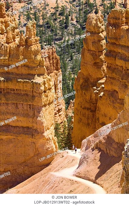 USA, Utah, Bryce Canyon. Two hikers dwarfed by the immense sandstone hoodoos of Bryce Canyon