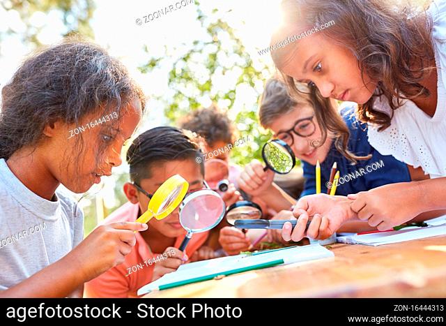 Kinder schauen neugierig durch Lupe auf ein Blatt im ökologischen Sommercamp