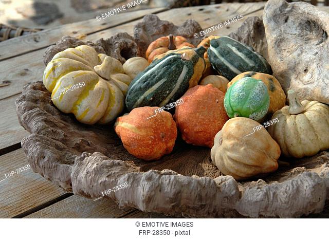Bowl with ornamental gourds