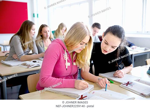 Teenage girls learning in classroom
