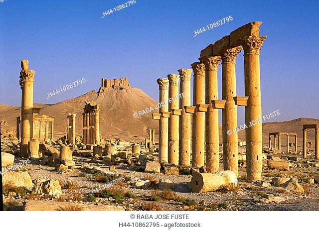 Syria, February 2006, Palmyra city, great Collonad