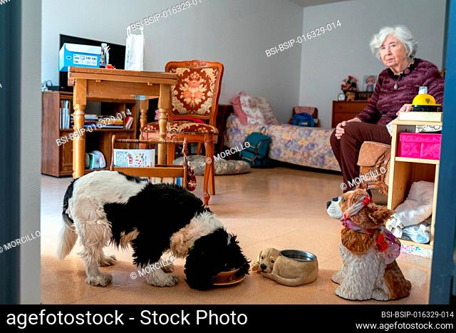 An octogenarian widow with her dog at the retirement home. Jacqueline refuses to leave Helsa, a King Charles who somewhat compensates for the loss of her...