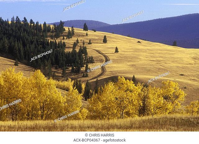Sheep Range Junction Provincial Park, grasslands, Chilcotin region, British Columbia, Canada