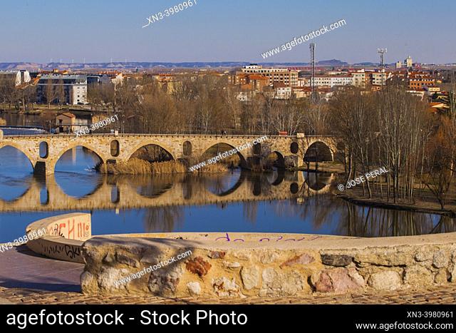 Stone bridge, Duero river, Zamora city, Zamora Provience, Castile and Leon, Spain, Europe