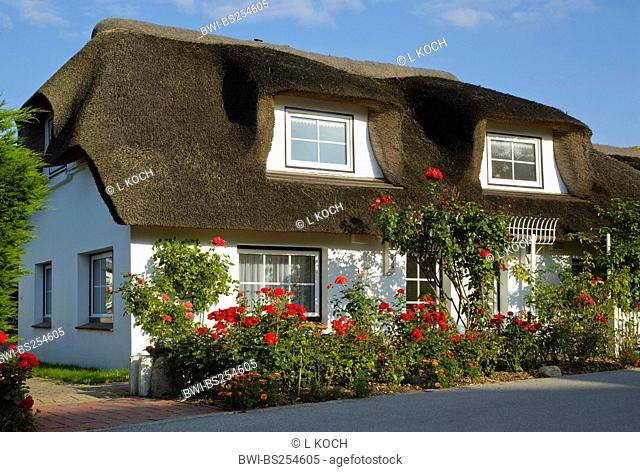 Frisian house with thatched roof, Germany, Schleswig-Holstein