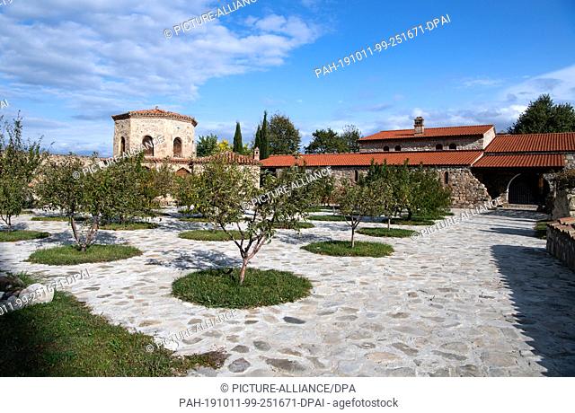 08 October 2019, Georgia, Alawerdi: Olive trees stand on the courtyard of the Alawerdi Monastery in the Kakheti region. The monastery was founded in the 4th...