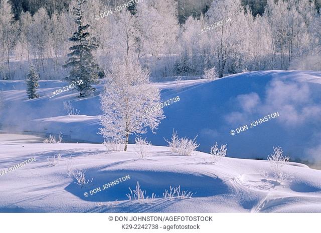 Junction Creek witn open water in mid winter, Greater Sudbury, Ontario, Canada