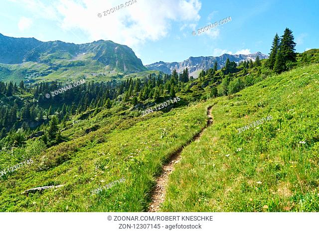Wanderweg in den französischen Alpen im Sommer mit einem blauen Himmel