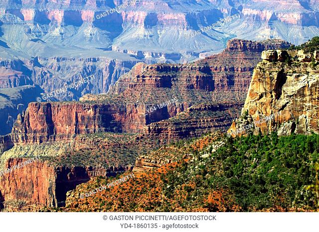 Grand Canyon, North Rim, Grand Canyon National Park, Arizona, USA