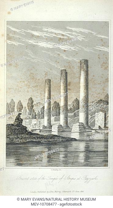 Temple of Jupiter Serapis near Naples. This comprises the frontispiece from Principles of Geology Vol. 1, 1830 by Charles Lyell