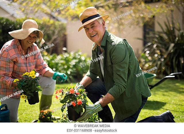 Cheerful senior couple holding plants in yard