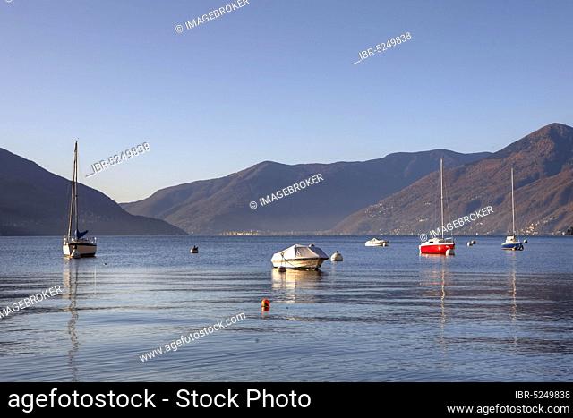 Boats, Lake Maggiore, Ascona, Ticino, Lake Maggiore, Switzerland, Europe