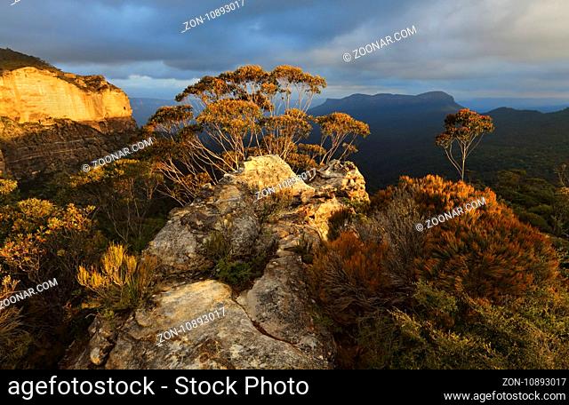 Warm golden sunlight across the rocky escarpment texture and colour in the native bushes and gum trees. Blue Mountains views to Mount Solitary under a moody sky