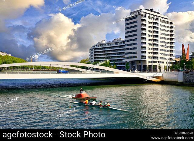 Rowers, Urumea River, Lehendakari José Antonio Agirrre bridge, Donostia, San Sebastian, Basque Country, Spain, Europe, Located at the height of the Amara Plaza...